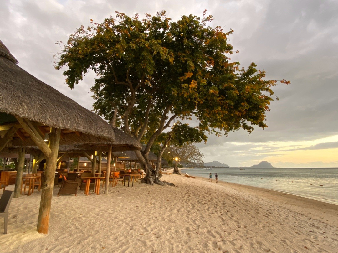 As- Siyaaha Tour Operator-塔玛琳必去景点