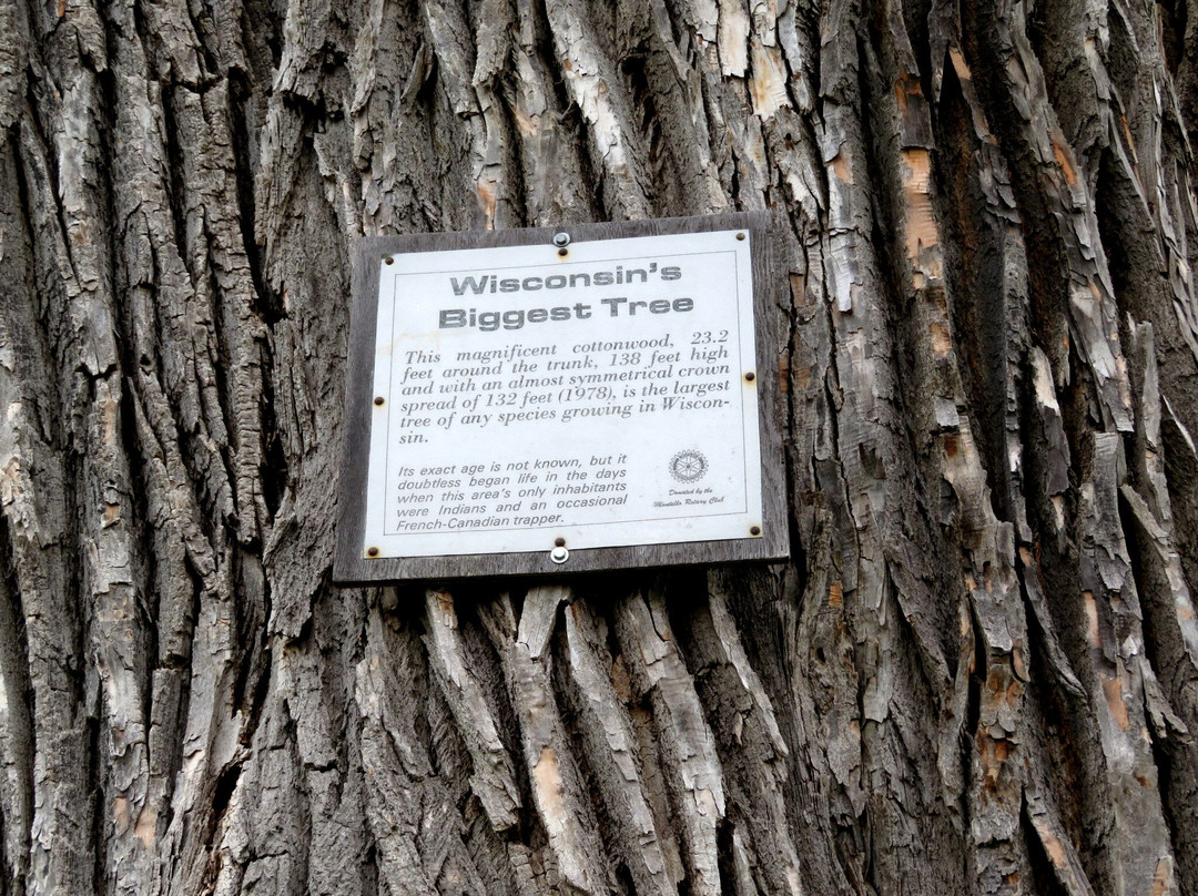 Montello History Tour