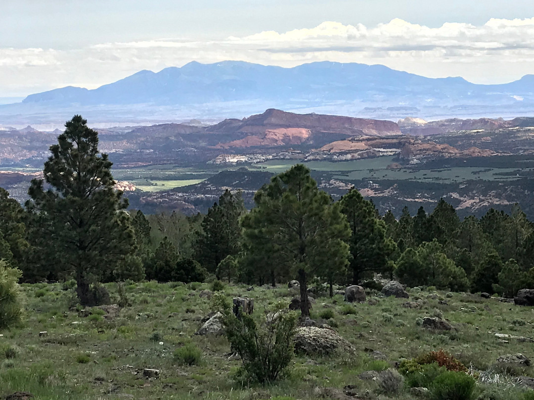 Wildcat Guard Station-圆顶礁国家公园必去景点