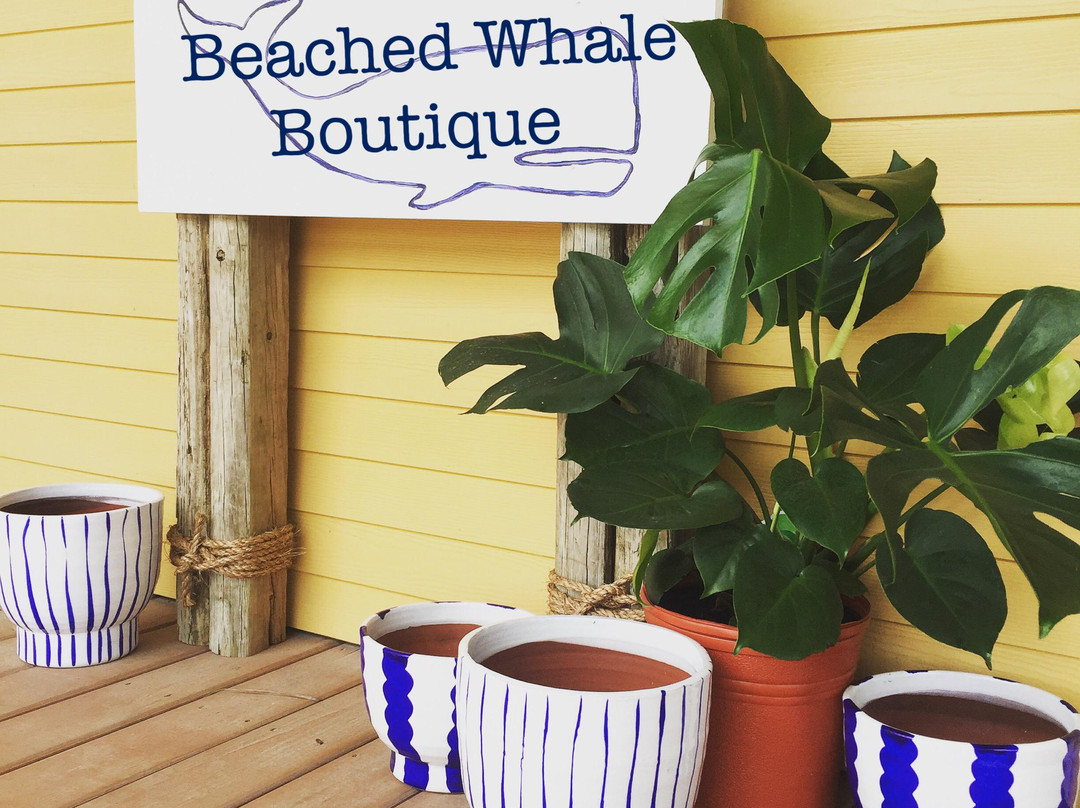 Matagorda旅游景点-Beached Whale