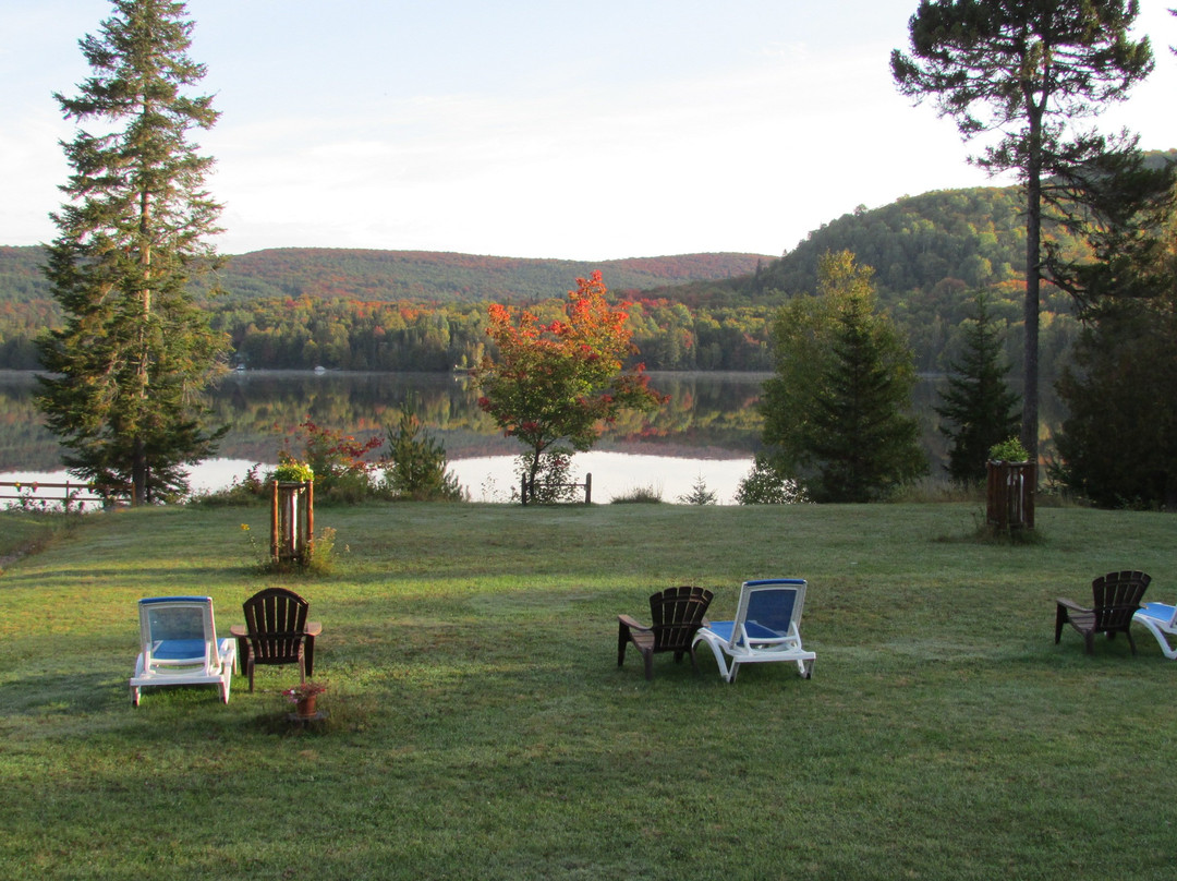 Motel Ours Bleu主图