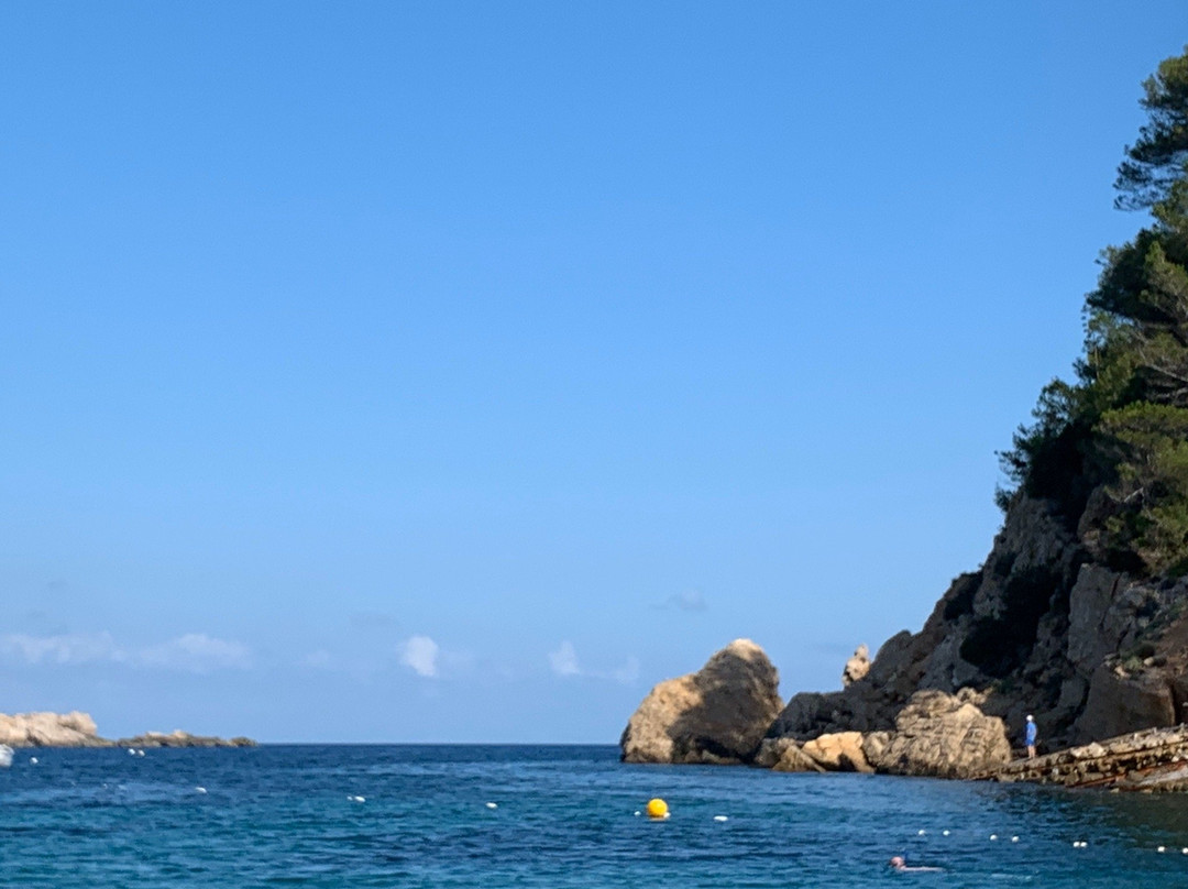 Playa Puerto de San Miguel景点图片