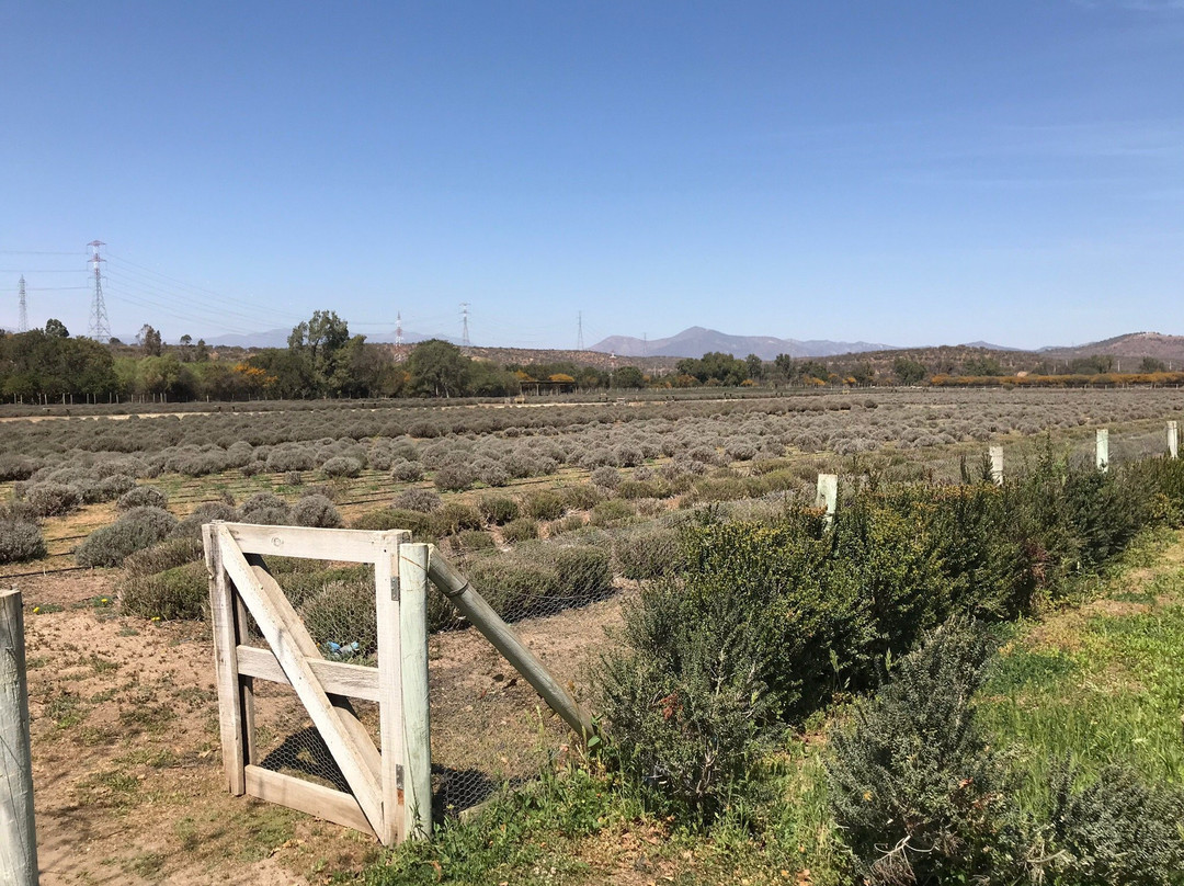 Granja Aromatica Los Aromos-Limache必去景点