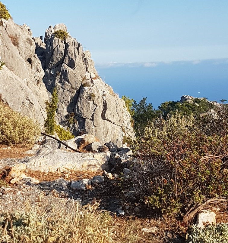 Althaea-Anatoli必去景点