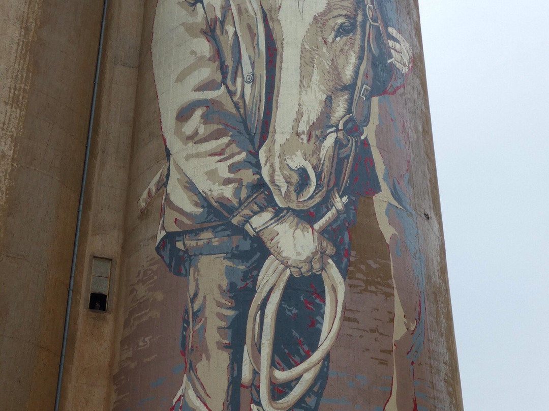 Rosebery Silo Art景点图片