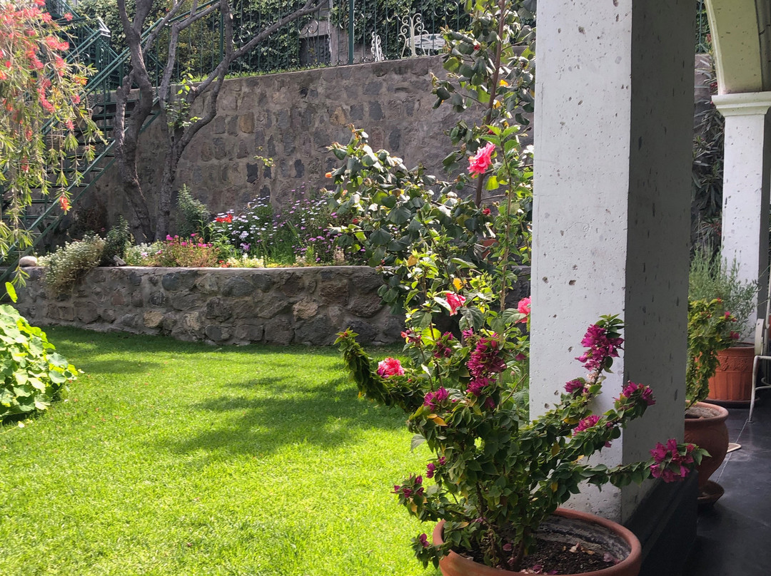 Hotel Boutique Villa Elisa主图