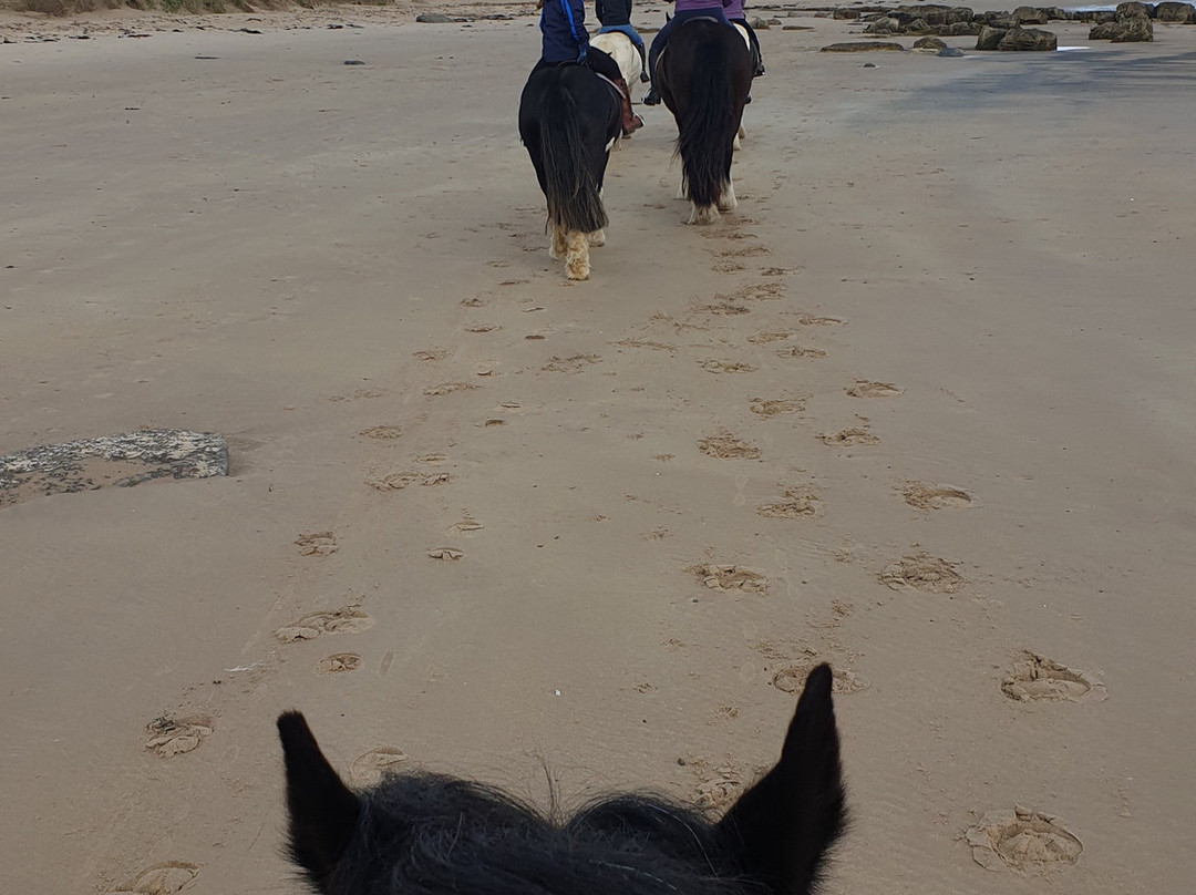 Slate Hall Riding Centre-Seahouses必去景点