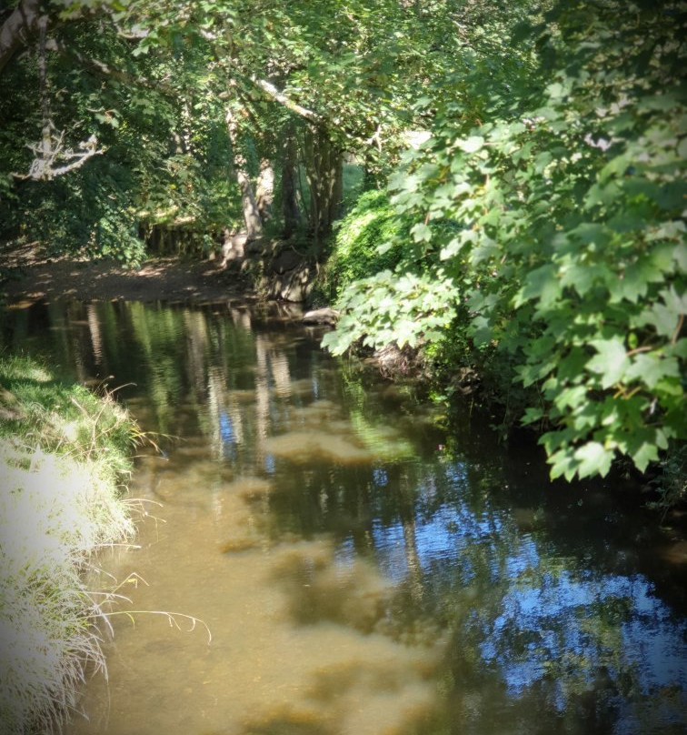 The Byes Riverside Park-西德茅斯必去景点