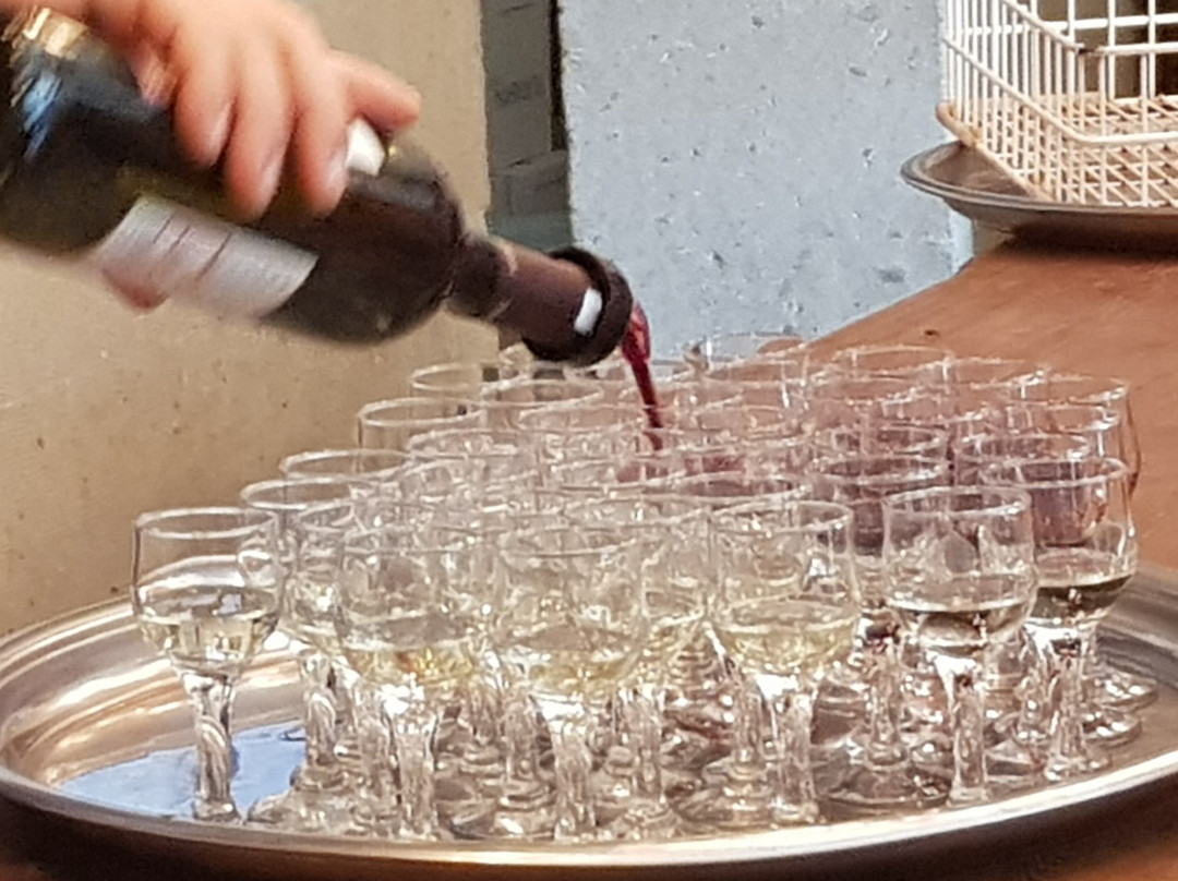 Turasan Viniculture-内夫谢希尔必去景点