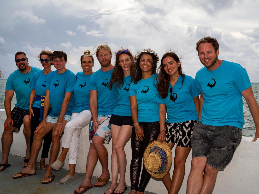 The Silent Hunter Group-Andros必去景点