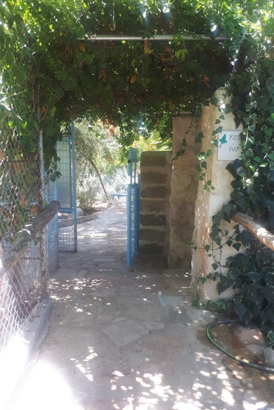 Medflora Museum Cyprus-Trachoni必去景点