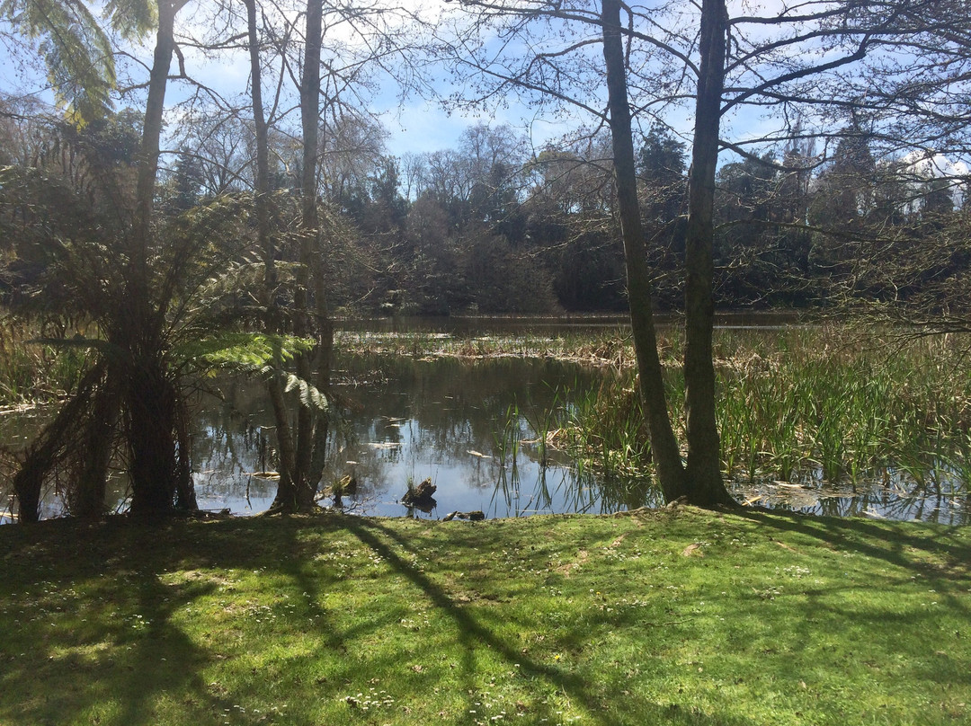 Lake Te Koutu景点图片