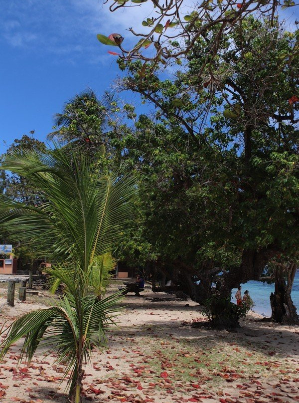 Plage de Cosmy-La Trinite必去景点