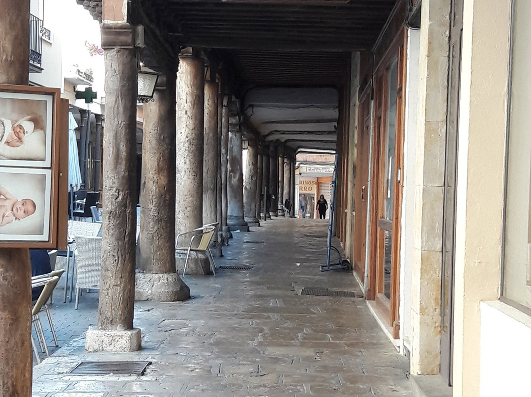 Rua Mayor-Medina de Rioseco必去景点