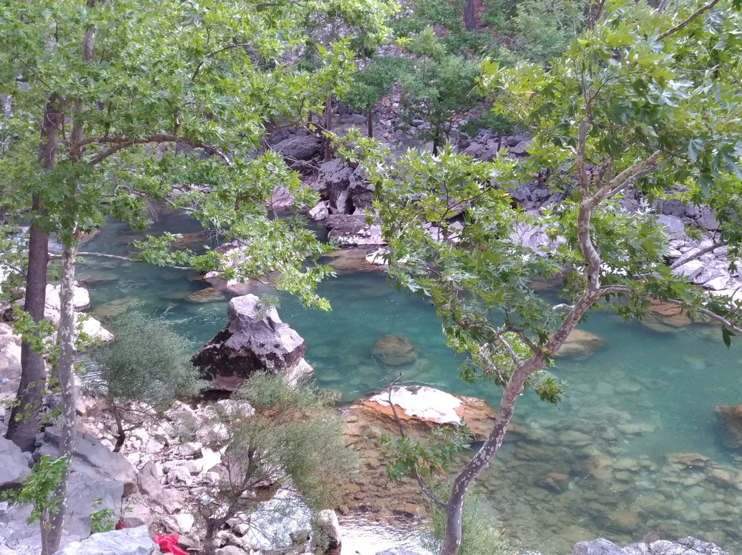 Uzumdere Milli Parki景点图片