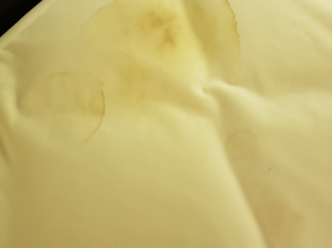 美国芝加哥长住酒店-莱尔主图