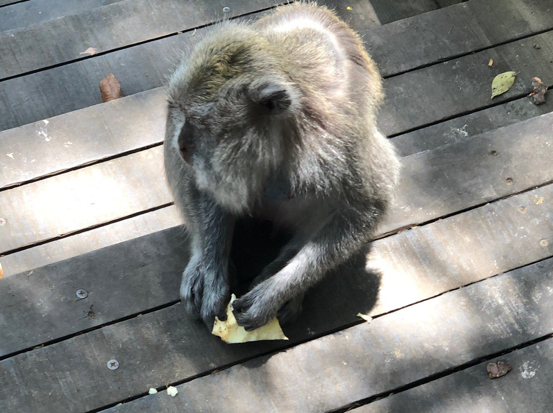 Riktiga Bali-苏卡瓦堤必去景点