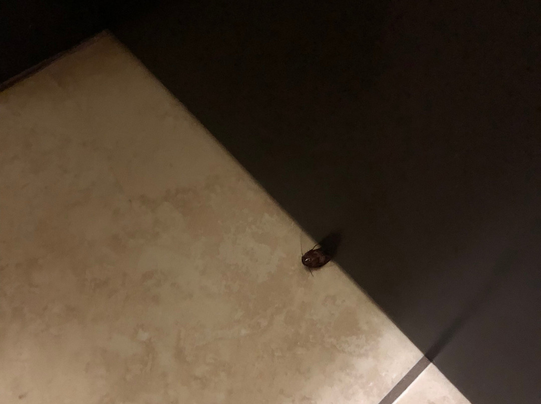 Hotel San Carlos Plaza, Beach & Convention Center主图