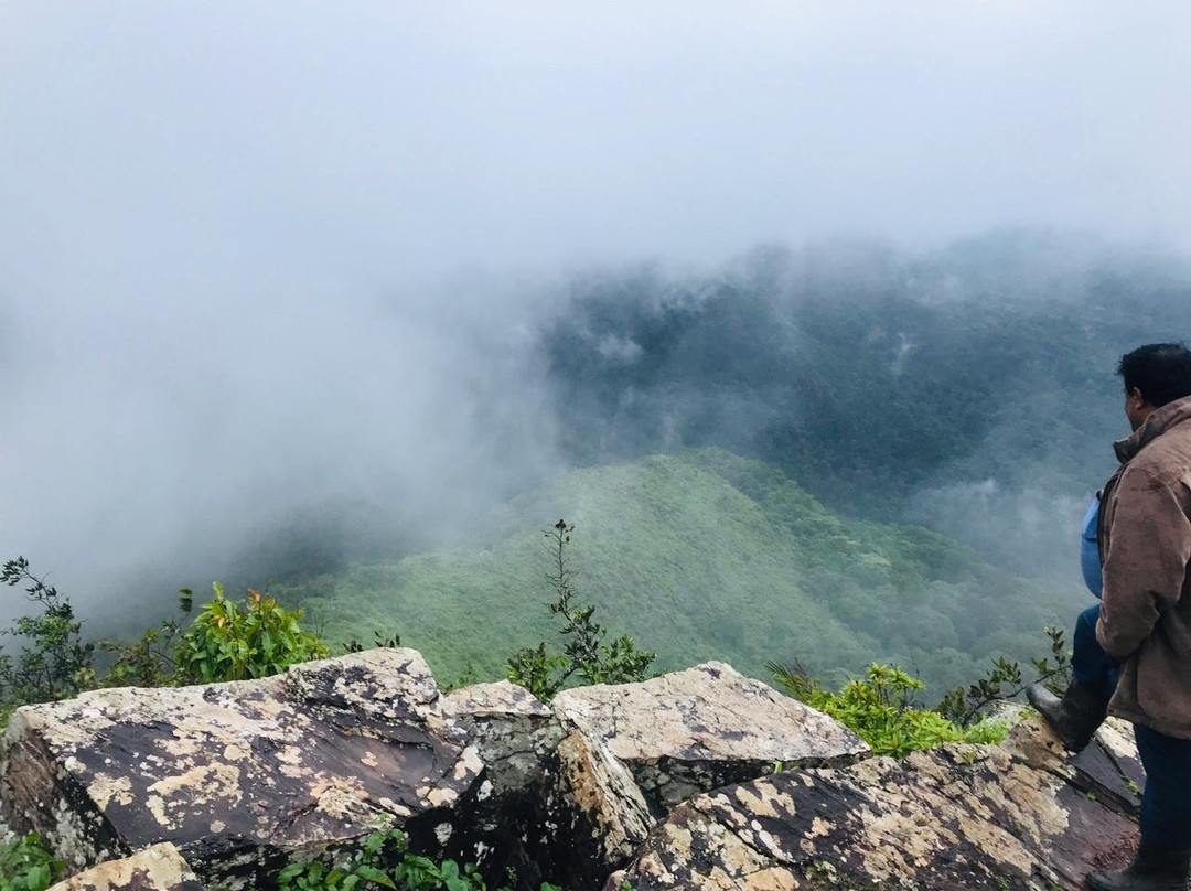 Suraksha Homestay主图