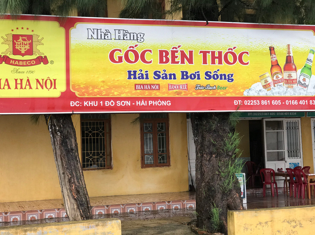 Lam Nghiep Do Son Hotel主图