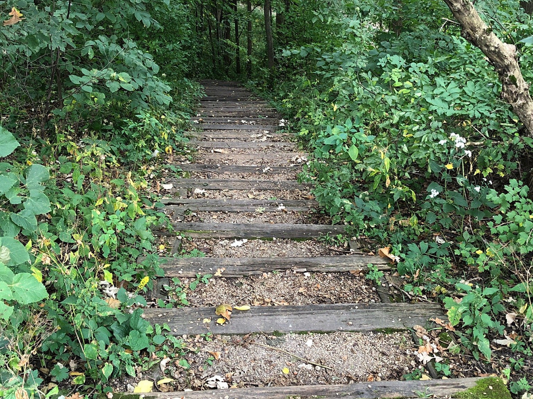 Beeds Lake State Park-Hampton必去景点