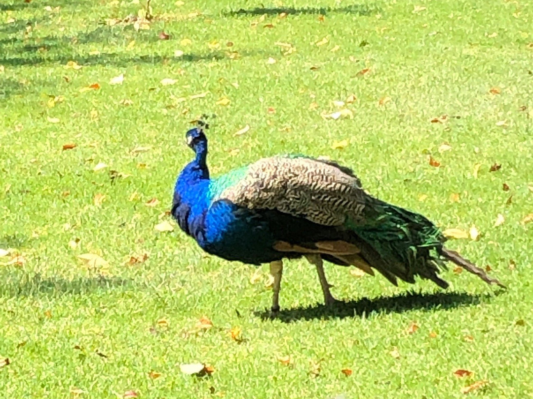 Hotel Finca Las Hortensias主图