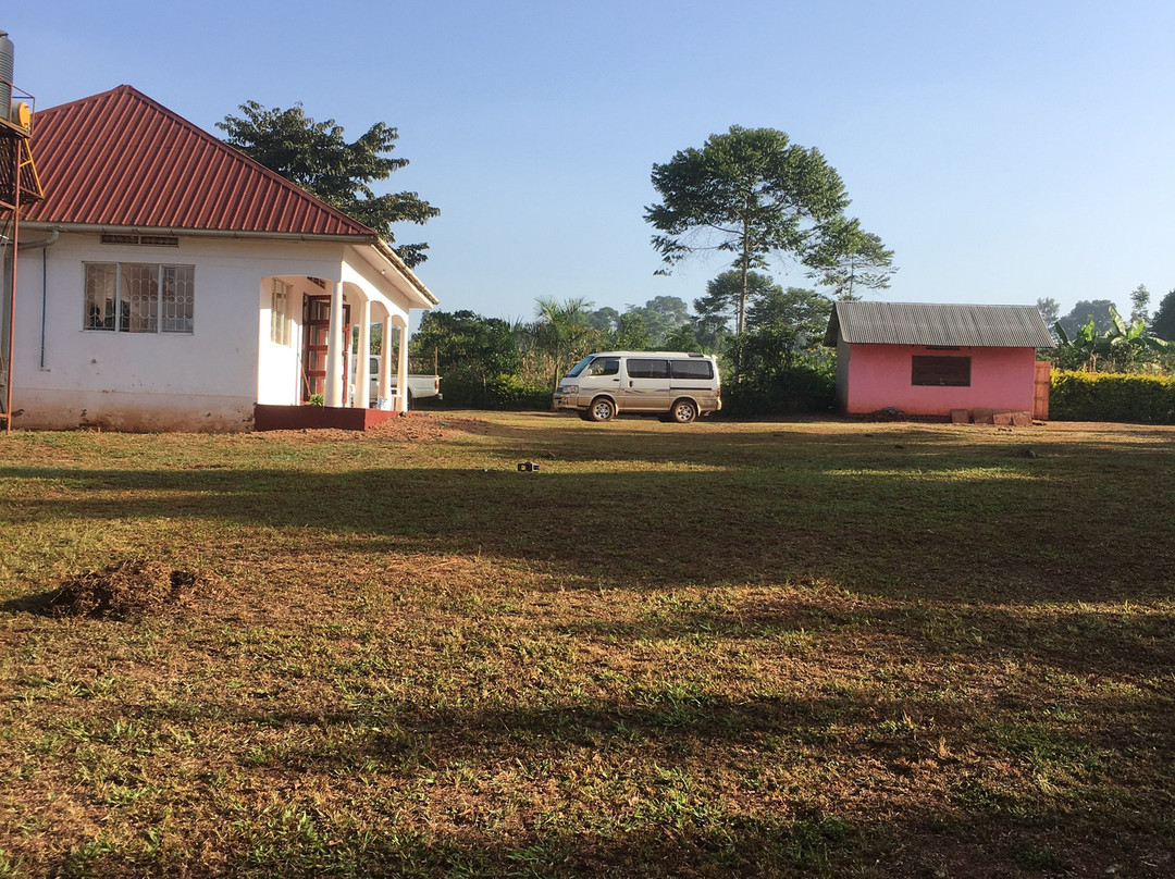 Nile River Explorers-金贾必去景点