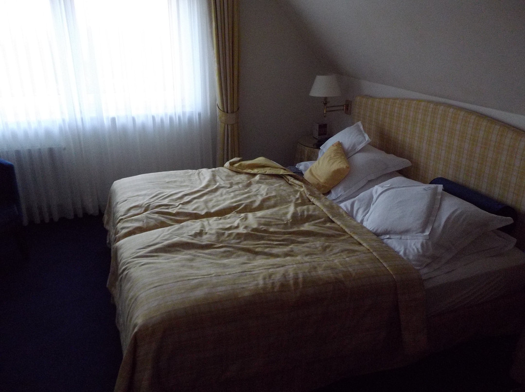 Romantik Berghotel Astenkrone主图