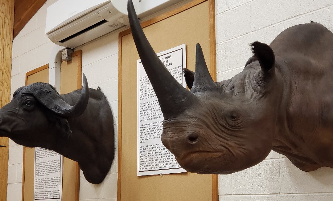 Werner Wildlife Museum-卡斯珀必去景点