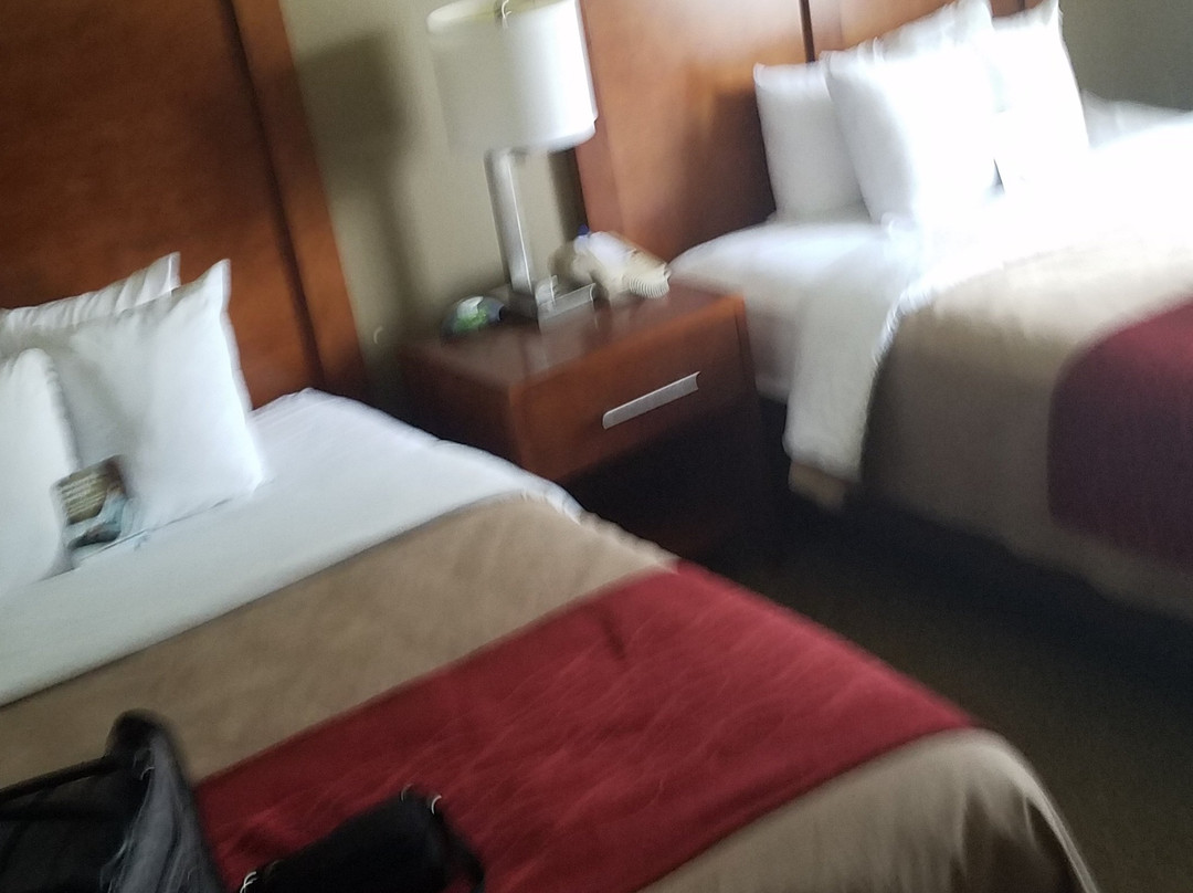 Best Western Morgan City Inn主图