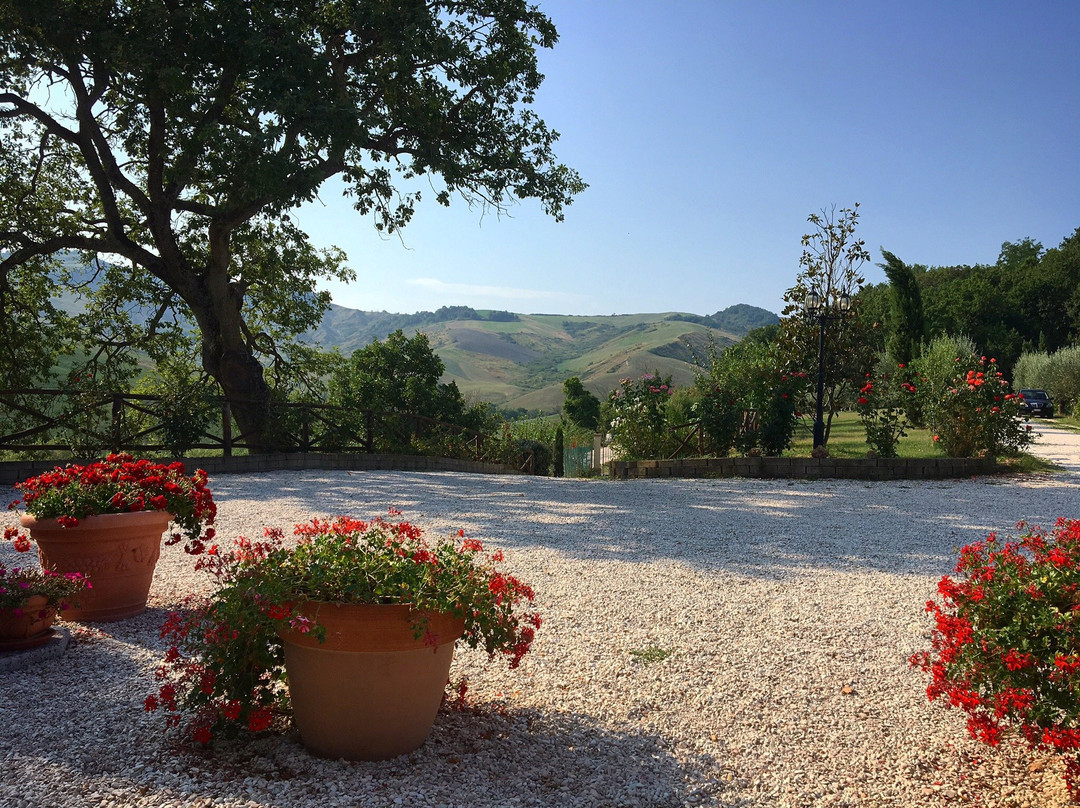 Agriturismo Ca' Maggio主图