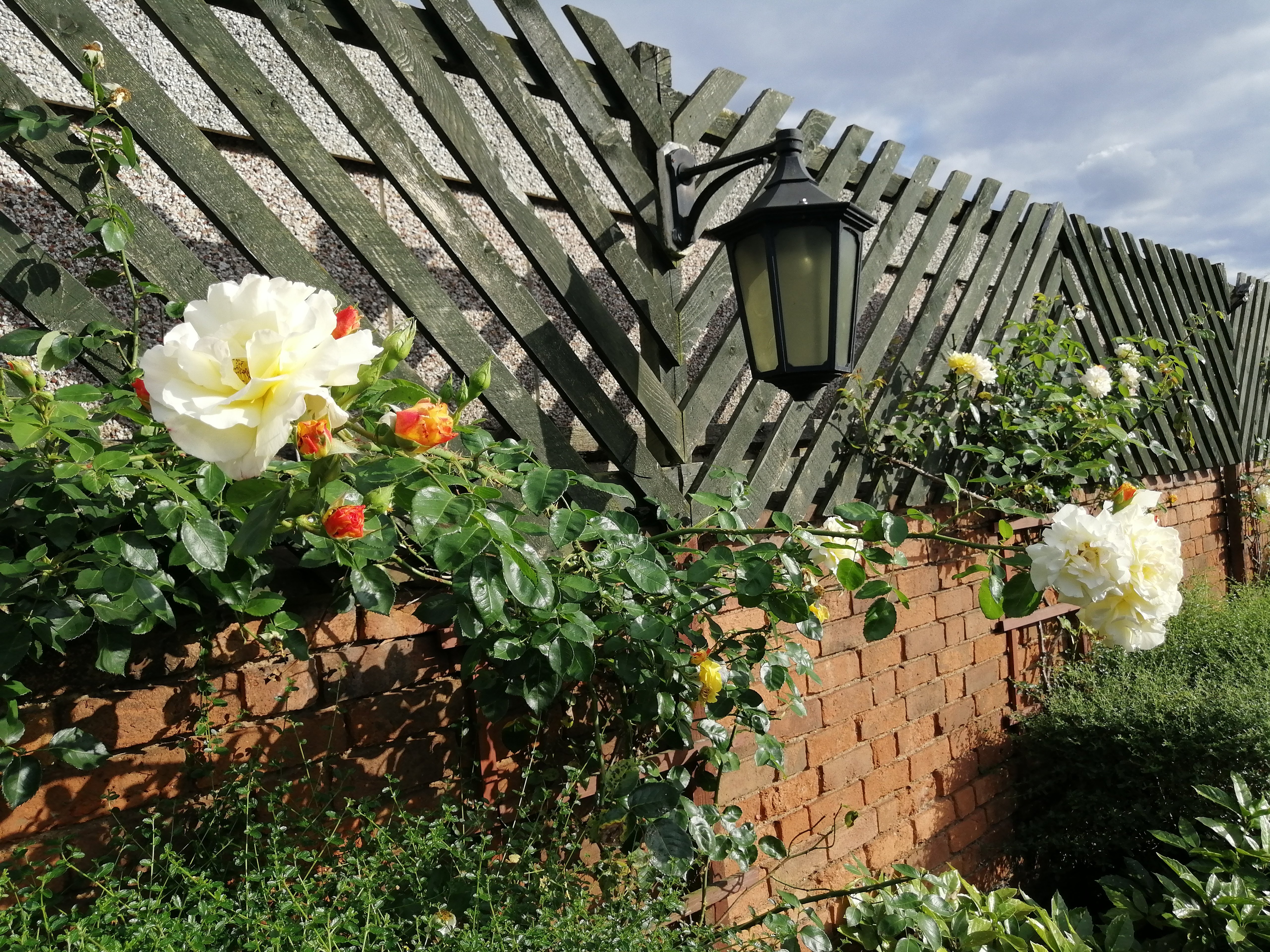 The Old Fourpenny Shop Hotel-浴室