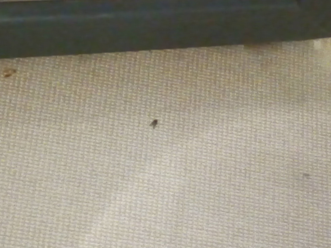 Hotel Ski主图