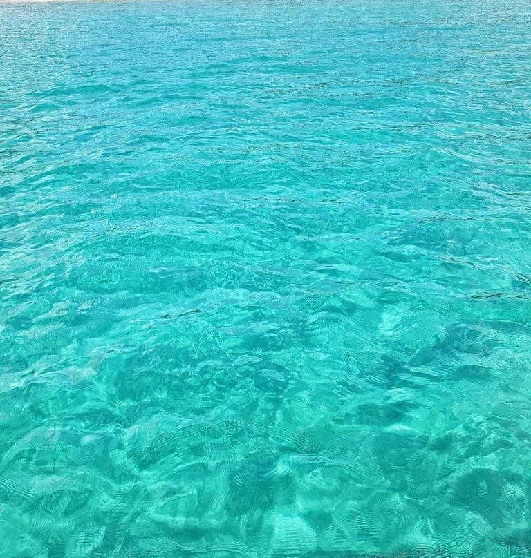 Ilha Anchieta State Park-乌巴图巴必去景点