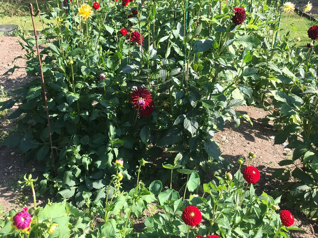 牛顿农庄酒店主图