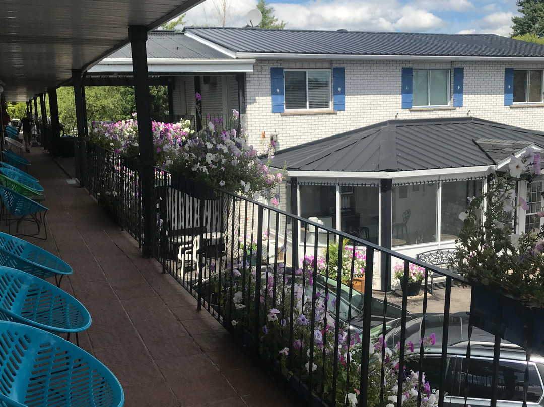 Blue Moon Motel主图