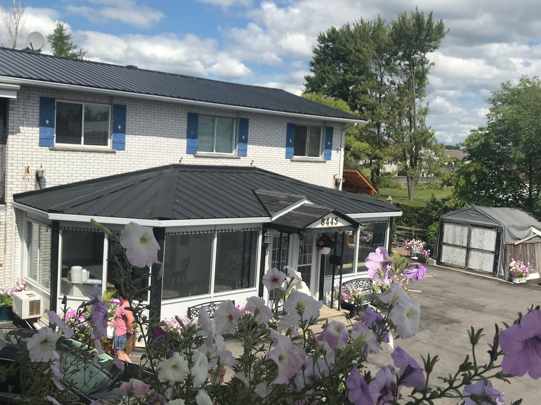 Blue Moon Motel主图