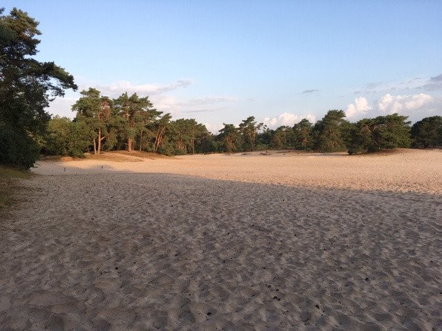 De Lange Duinen-索斯特必去景点
