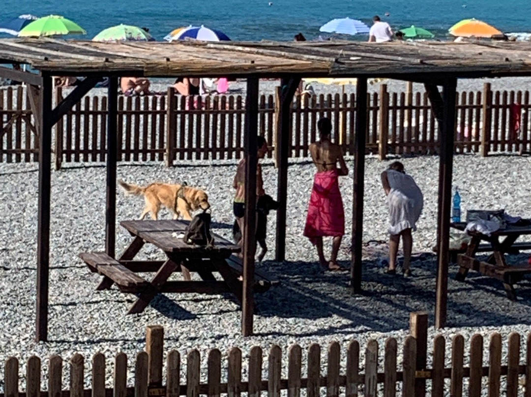Spiaggia dei Cani景点图片