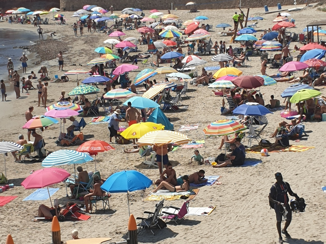 Playa Flamenca景点图片