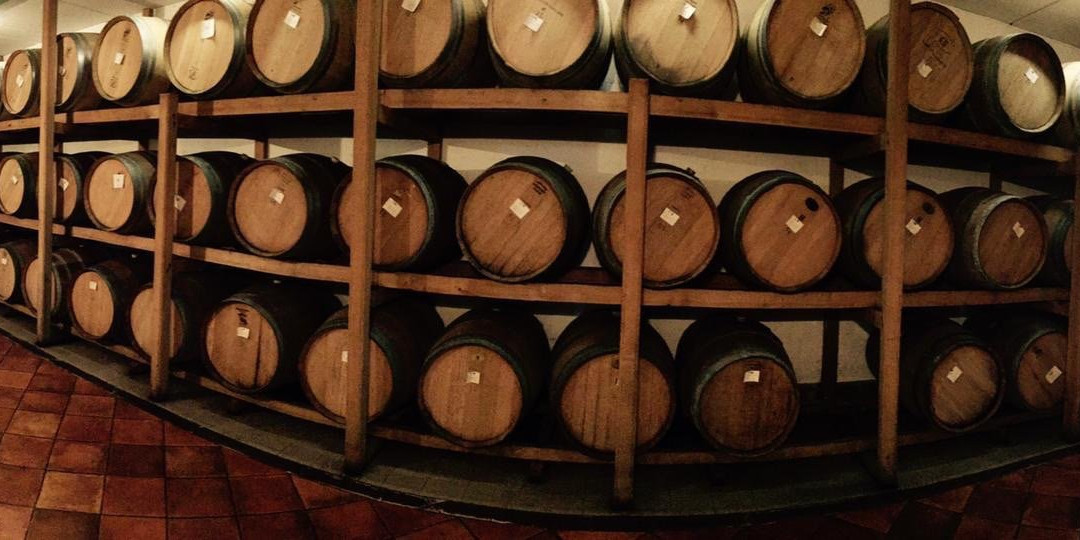 Azienda vitivinicola Il Roccolo di Mezzomerico景点图片