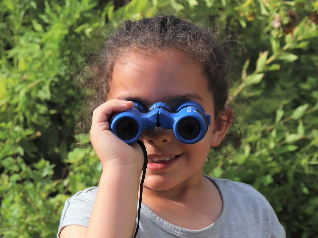 Fischer Park-新布朗费尔斯必去景点