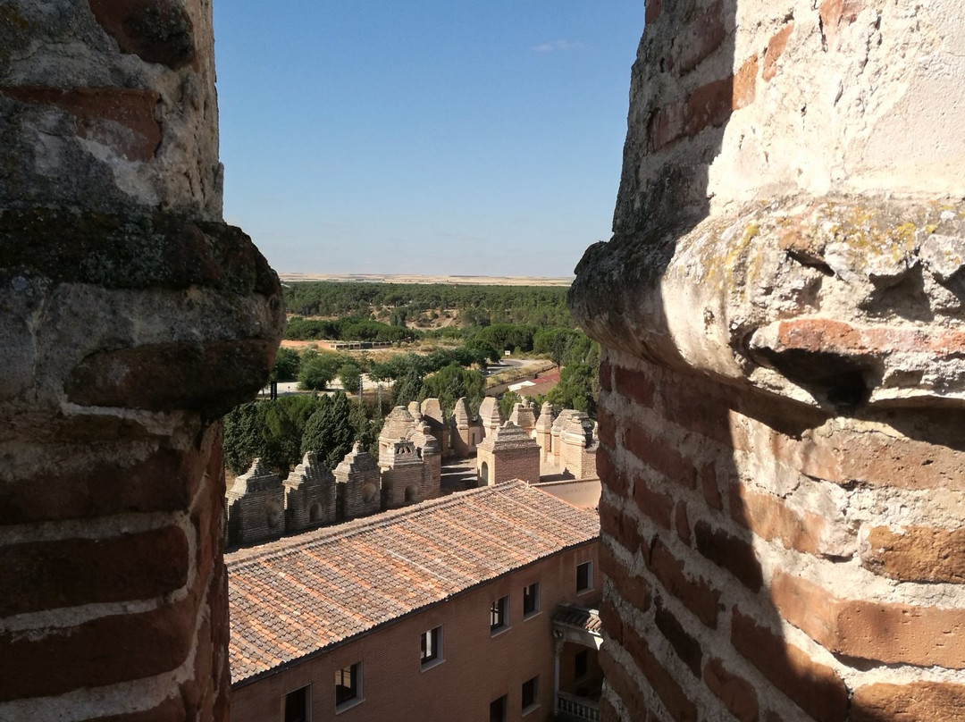 Castillo de Coca-Coca必去景点