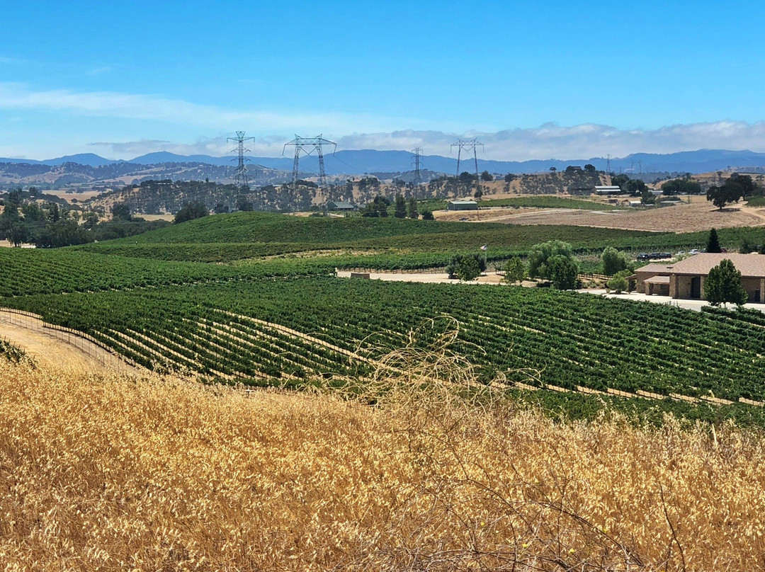 Steinbeck Vineyards & Winery景点图片