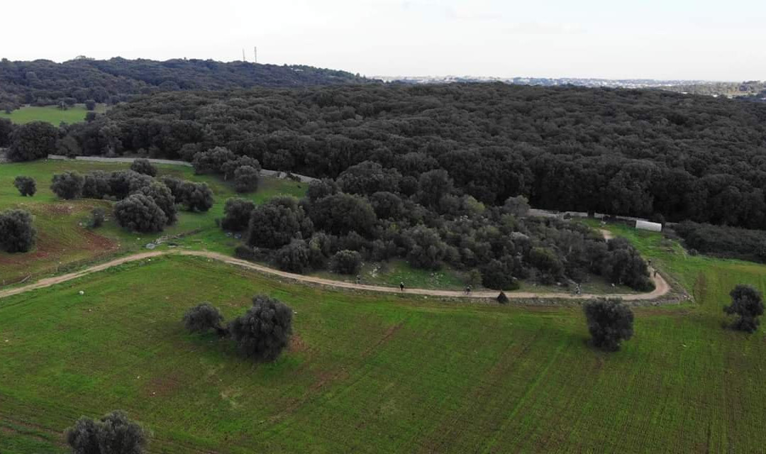 Ciuchino Birichino-奥斯图尼必去景点