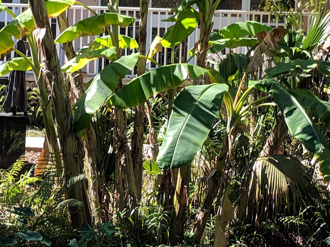 Ormond Memorial Art Museum & Gardens-奥蒙德海滩必去景点