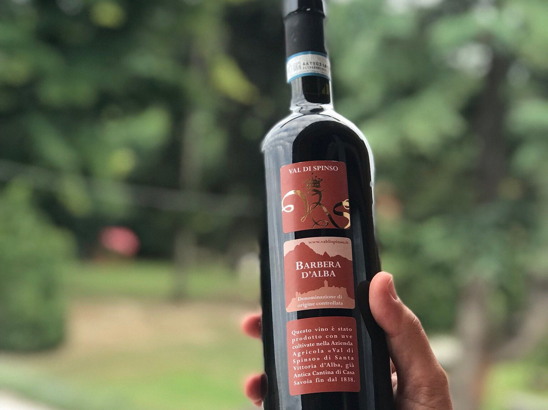 Agriturismo Valdispinso主图