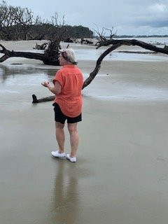 Driftwood Beach-吉柯岛必去景点