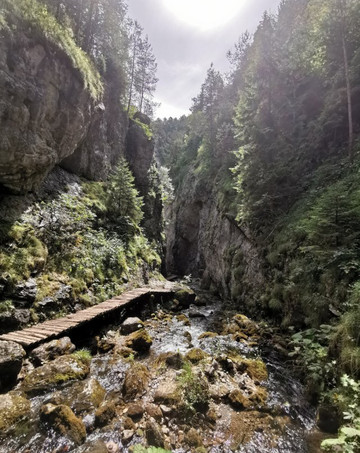 Okruh Prosieckou a Kvačianskou dolinou-Prosiek必去景点