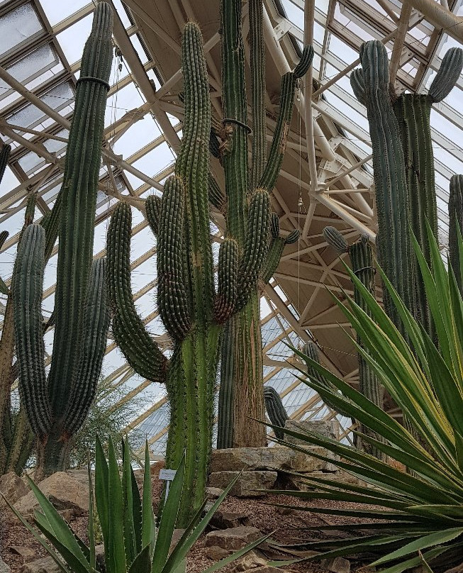 National Institute of Ecology-舒川郡必去景点